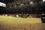 Extreme - 00812